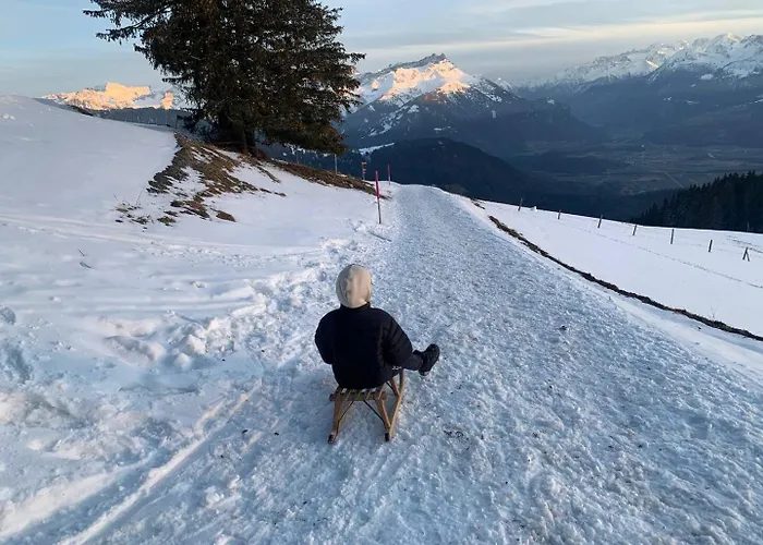 Belle Maison Au Coeur Des Alpes